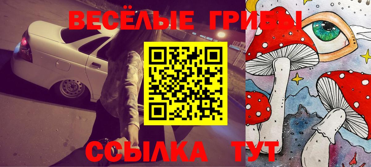 Псилоцибиновые грибы прущие грибы Трёхгорный