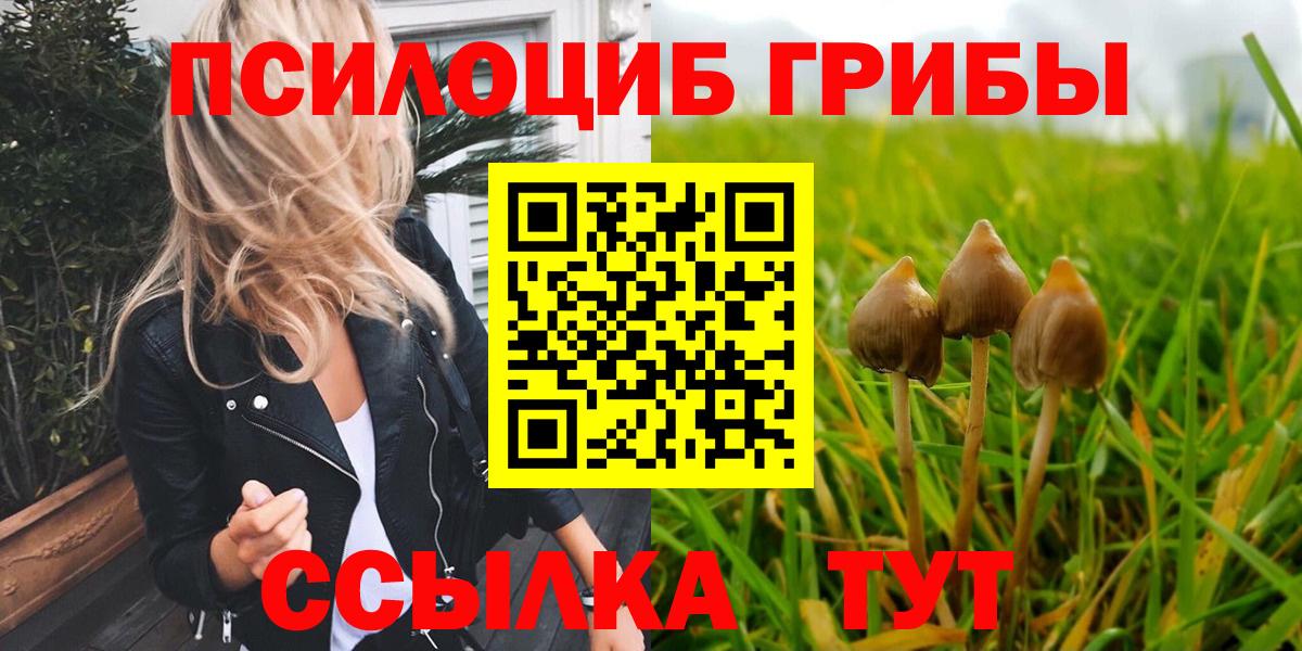 Псилоцибиновые грибы Psilocybine cubensis  Вход с VPN  Трёхгорный 
